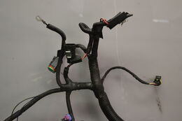 Wiring harness 800 Etec, 515177098