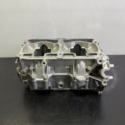 Moottorinlohkot Rotax 850 Etec, 420893774