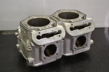 Sylinteriryhmä Rotax 800R Etec, 420413046