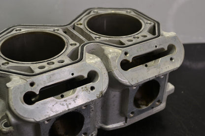 Sylinteriryhmä Rotax 800R Etec, 420413046