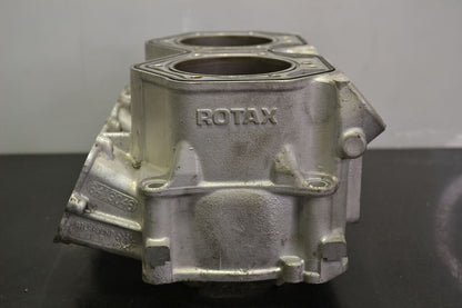 Sylinteriryhmä Rotax 800R Etec, 420413046