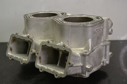 Sylinteriryhmä Rotax 800R Etec, 420413046