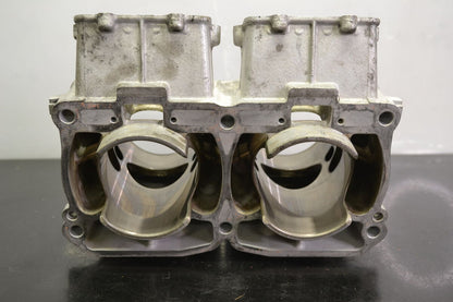 Sylinteriryhmä Rotax 800R Etec, 420413046