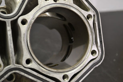 Sylinteriryhmä Rotax 800R Etec, 420413046