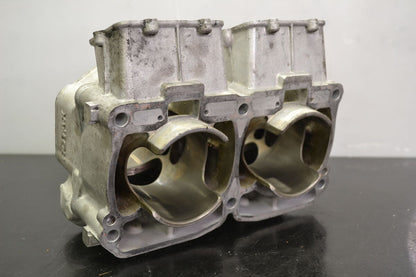 Sylinteriryhmä Rotax 800R Etec, 420413046