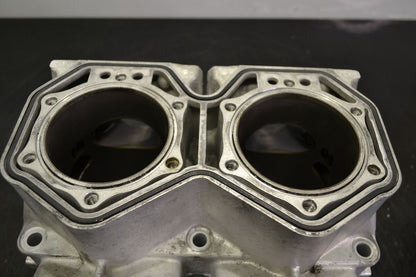 Sylinteriryhmä Rotax 800R Etec, 420413046