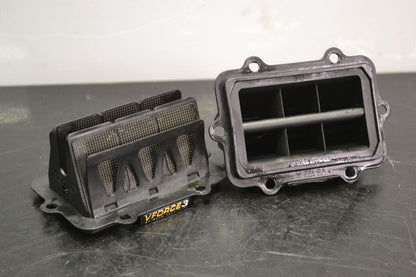 V-Force 3 reeds 800 Etec, 800 Ptek