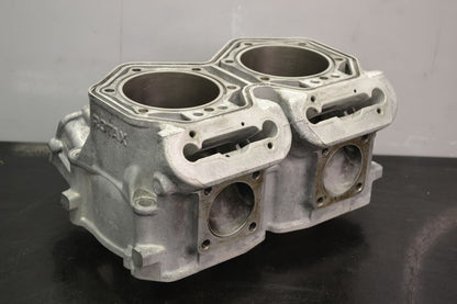 Sylinteri 800 Etec, 420413041 Summit X