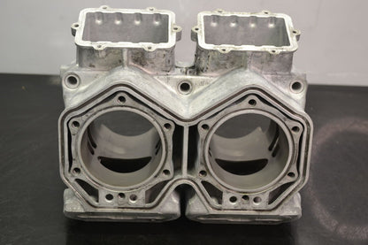 Sylinteri 800 Etec, 420413041 Summit X