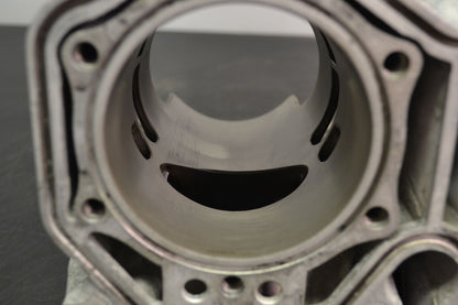 Sylinteri 800 Etec, 420413041 Summit X