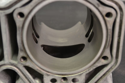 Sylinteri 800 Etec, 420413041 Summit X