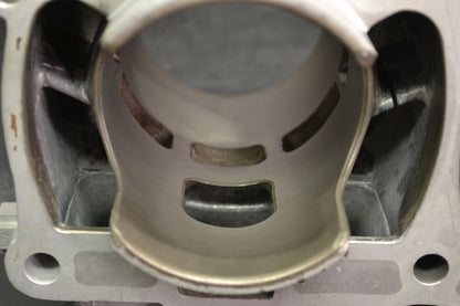 Sylinteri 800 Etec, 420413041 Summit X