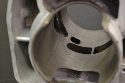 Sylinteri 800 Etec, 420413041 Summit X