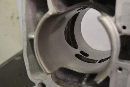 Sylinteri 800 Etec, 420413041 Summit X