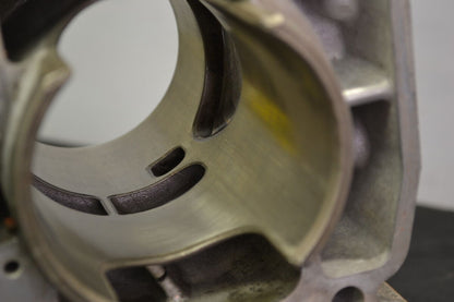 Cylinder 800 Etec engines, 420413041