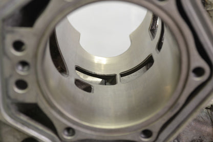 Cylinder 800 Etec engines, 420413041