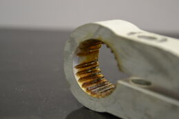 Takapukin kiinnike R-Motion, 503195985