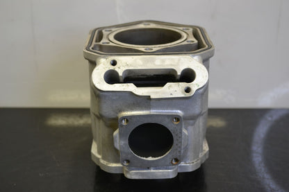 Sylinteri 600 Etec 09-10,  420623262