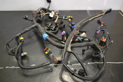 Wiring harness Rave Re 600 Etec 2014, 515177541