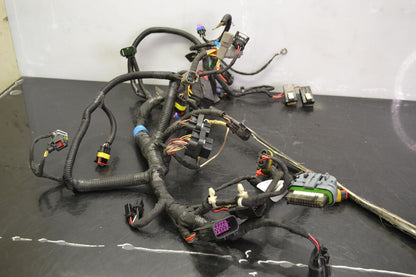 Wiring harness Rave Re 600 Etec 2014, 515177541