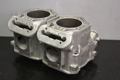 Cylinder 800 Etec 420413041