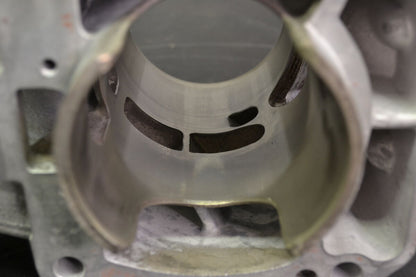 Cylinder 800 Etec 420413041
