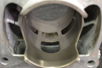 Cylinder 800 Etec 420413041