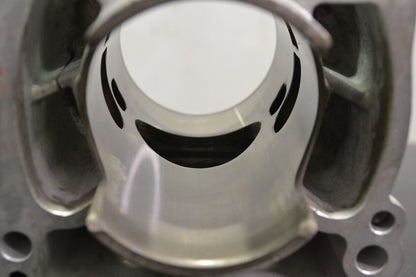 Cylinder 800 Etec 420413041