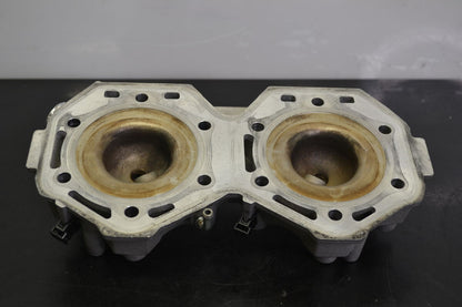 Sylinterinkansi Rotax 850 Etec, 420413294