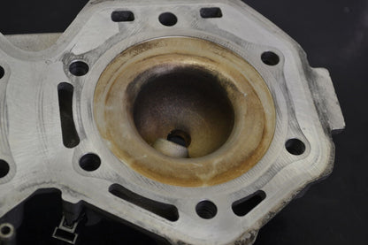 Sylinterinkansi Rotax 850 Etec, 420413294