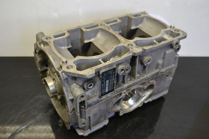 Engine blocks 800R Etec, 420893084