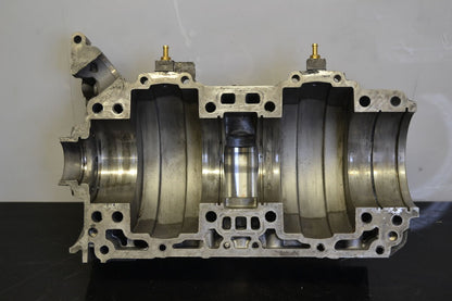 Engine blocks 800R Etec, 420893084