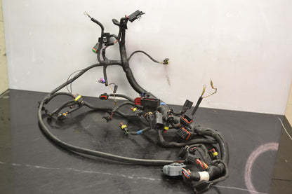 Johtosarja 800 Etec, 515177098