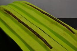 Blade Xc sukset Vihreä, Xterrain RE - Northern Sledparts Oy